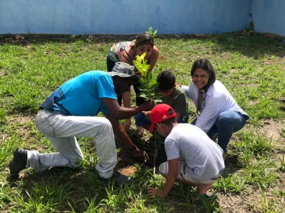 Prefeitura realiza plantio de frutíferas em UBS de Teixeira de Freitas