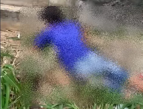 Jovem é executado a tiros no meio da Rua em Eunápolis