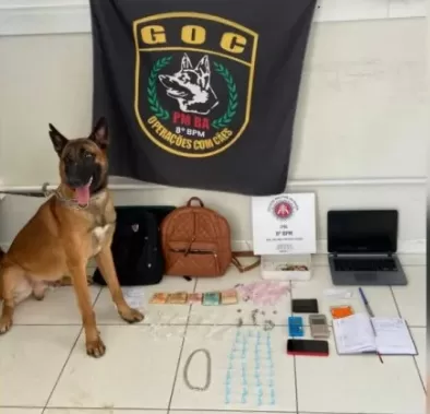 Grupamento de Operações com Cães do 8º BPM realiza apreensão de drogas em Porto Seguro
