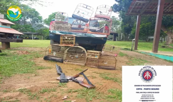 CIPPA/PS apreende duas armas de fogo e resgata 18 aves silvestres na zona rural do município de Uruçuca