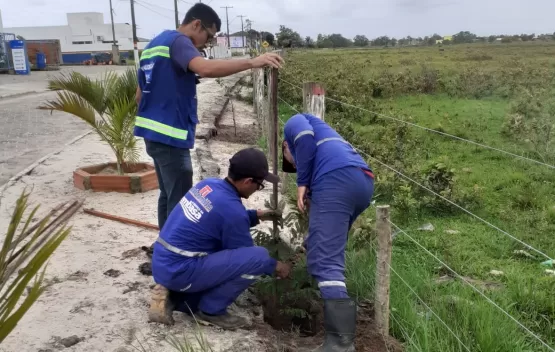 Prefeitura e Embasa começam novos plantios de árvores na cidade de Mucuri