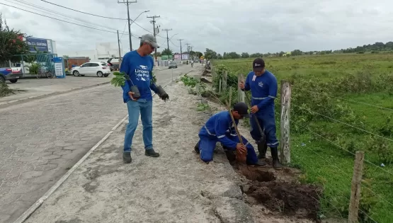 Prefeitura e Embasa começam novos plantios de árvores na cidade de Mucuri