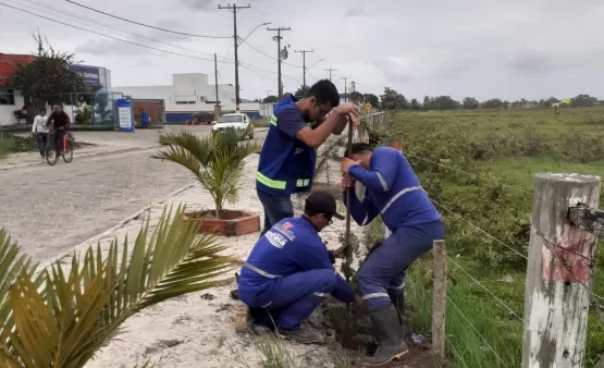 Prefeitura e Embasa começam novos plantios de árvores na cidade de Mucuri