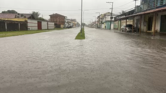 Peixes passeiam livremente em ruas alagadas do Prado