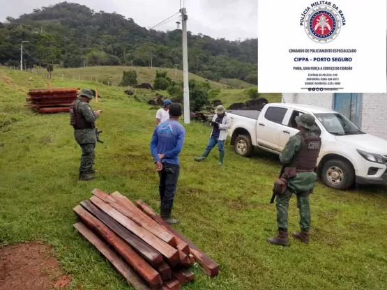 Fiscalização realiza ação conjunta de combate à extração ilegal de madeira no município de Barro Preto