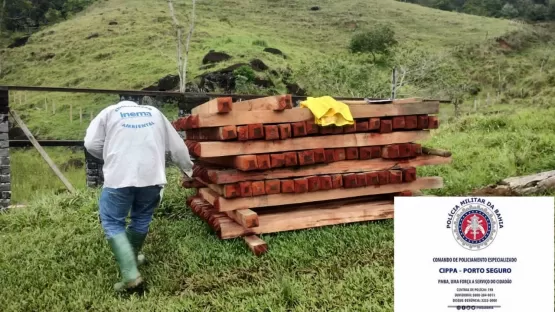 Fiscalização realiza ação conjunta de combate à extração ilegal de madeira no município de Barro Preto