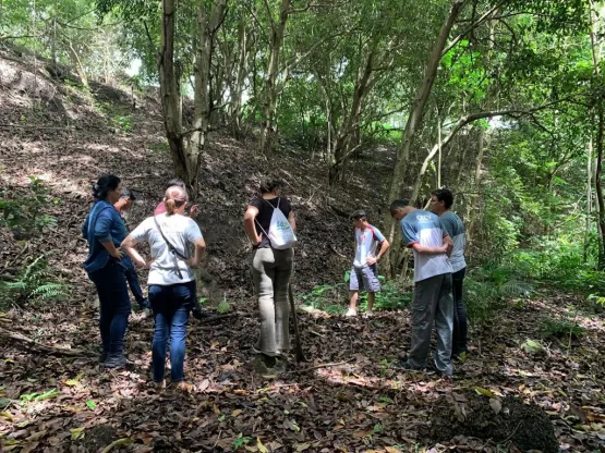 Preservação ambiental: Prefeitura realiza plantio de mudas nativas com estudantes teixeirenses