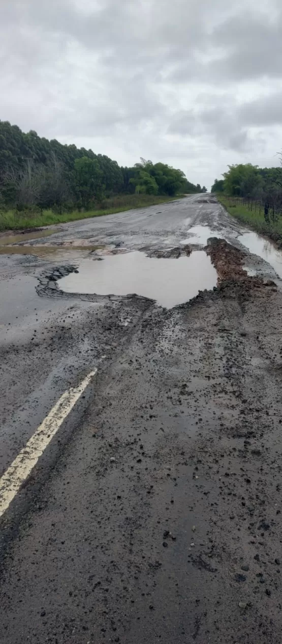 Carretas da Suzano são paradas em protesto na BR 418. 