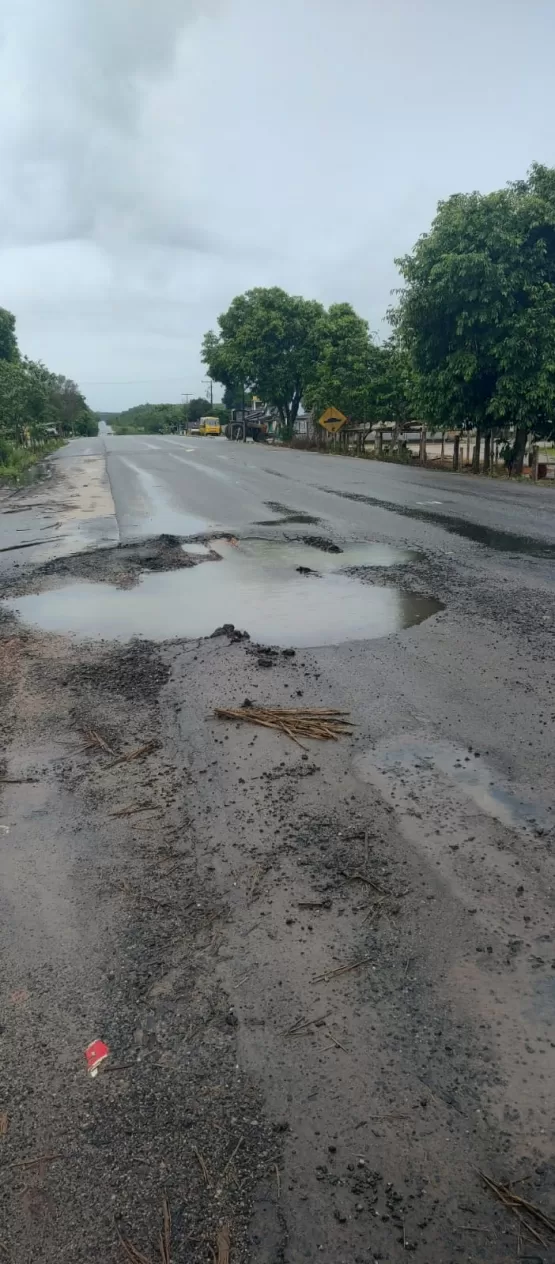 Carretas da Suzano são paradas em protesto na BR 418. 