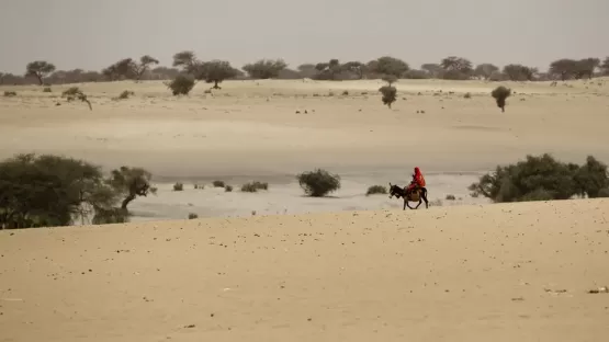 27 migrantes morrem de sede tentando cruzar o deserto do Chade