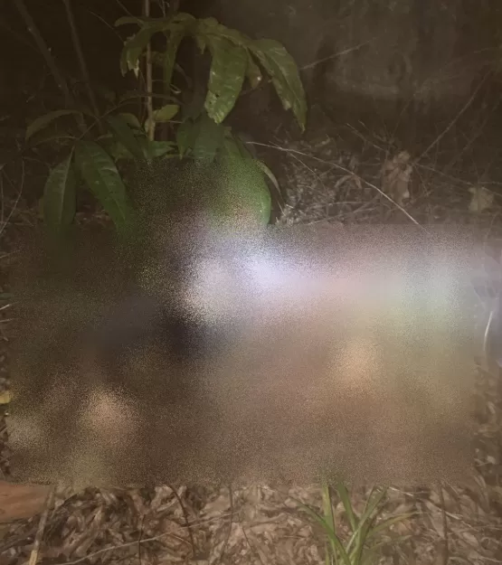 Corpo de homem que estava desaparecido em Alcobaça é encontrado com órgão genital na boca