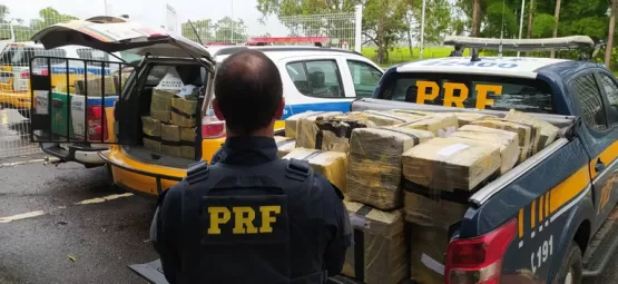 Polícia de Minas apreende cerca de 1,5 tonelada de maconha em caminhão com placa de Teixeira de Freitas