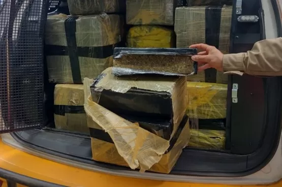 Polícia de Minas apreende cerca de 1,5 tonelada de maconha em caminhão com placa de Teixeira de Freitas