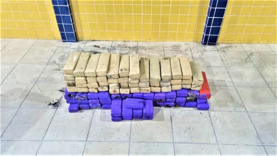 Mulheres são presas transportando quase 70Kg de maconha dentro de ônibus, na Bahia