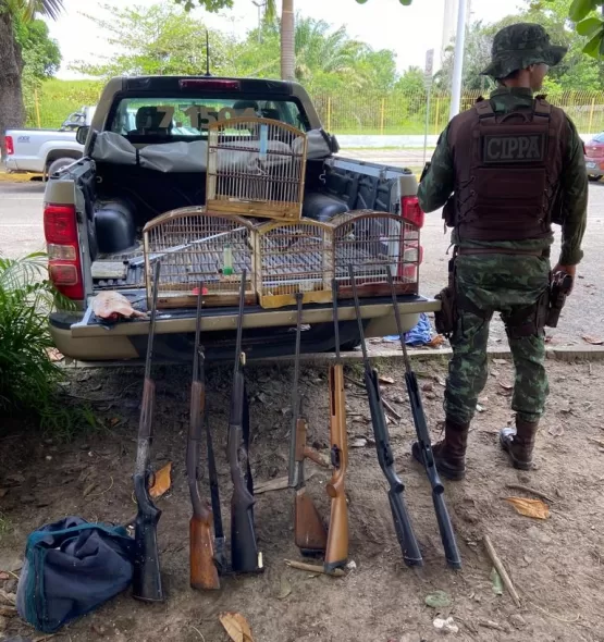 Ação da CIPPA/PS resulta na apreensão de 73 aves silvestres, um animal abatido, armamentos e munições na zona rural do município de Ilhéus