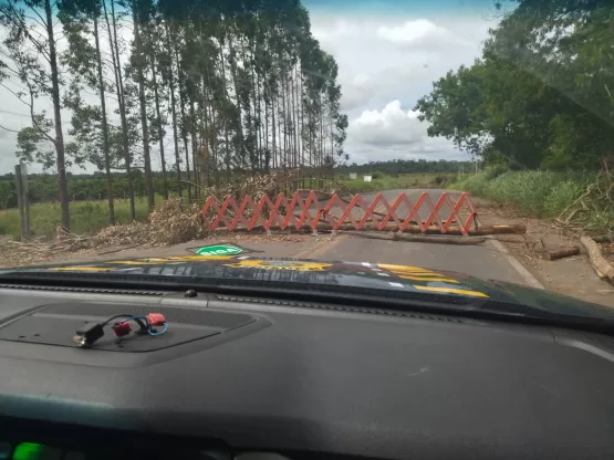 PRF atualiza situação da BR 101 entre Teixeira de Freitas/ Itamaraju