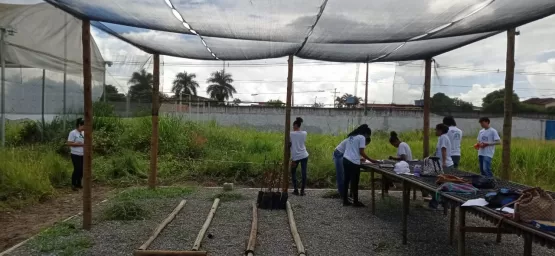 Estudantes do IFBaiano de Teixeira finalizam estágio voltado para programas florestais