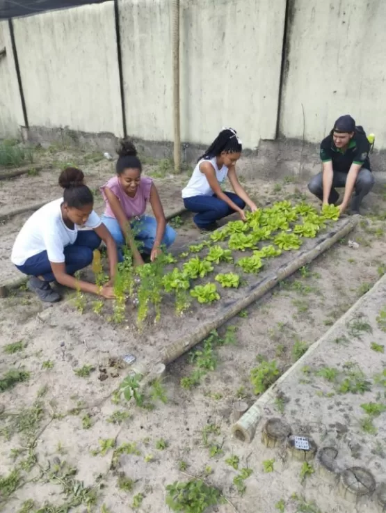 Estudantes do IFBaiano de Teixeira finalizam estágio voltado para programas florestais