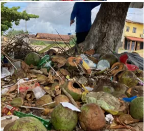 Prefeitura de Nova Viçosa lança campanha “Cidade Limpa”