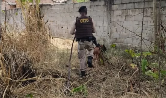 Trio é preso e drogas são apreendes com ajuda de cão policial em Porto Seguro