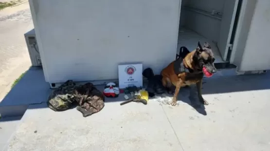 Trio é preso e drogas são apreendes com ajuda de cão policial em Porto Seguro