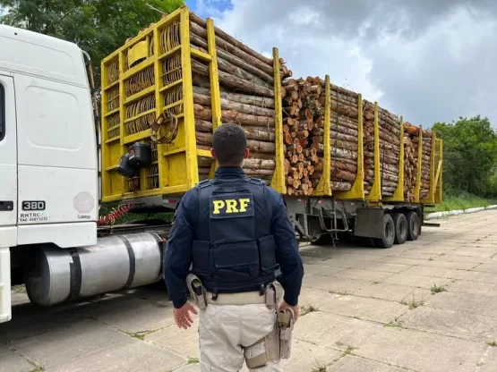 PRF remove conjunto veicular que transitava, em Teixeira de Freitas, ocasionando riscos de acidentes de trânsito