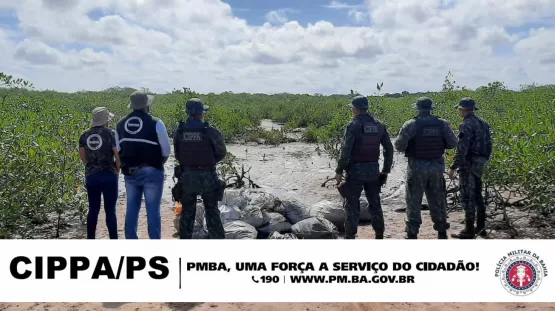 Mais de 5.000 caranguejos foram apreendidos por policiais da CIPPA/PS e fiscais do Ibama no baixo sul da Bahia