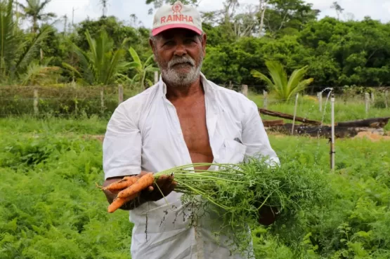 Prefeitura de Teixeira de Freitas publica edital de chamada pública  para aquisição de alimentos da agricultura familiar; saiba como participar