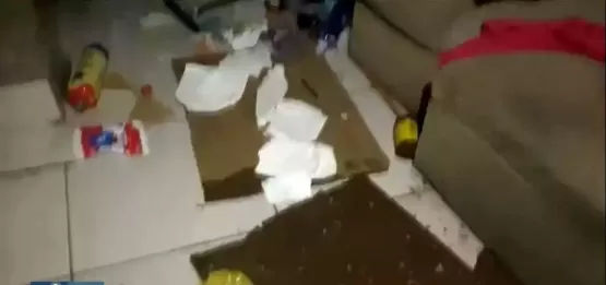 Crianças são resgatadas sozinhas em casa suja, até com feijões brotados no sofá