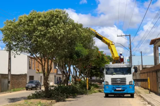 Prefeitura realiza supressão de árvores em avenida de Teixeira de Freitas