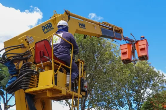 Prefeitura realiza supressão de árvores em avenida de Teixeira de Freitas