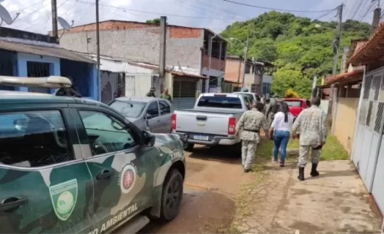 Cippa/Porto Seguro, Inema e Sema atendem vítima atingida por onça