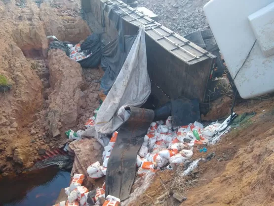 Vídeo - Carreta carregada com fertilizantes e produtos agrotóxicos tomba na BR 418