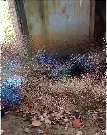 Um jovem é morto e outro baleado por criminosos na cidade de Medeiros Neto