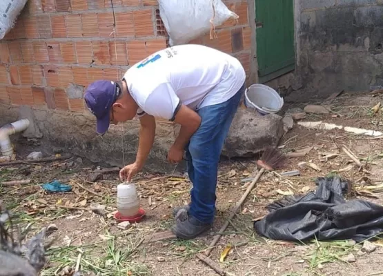 Prefeitura de Medeiros Neto realiza limpeza de terrenos em ação de combate ao Aedes Aegypti, mosquito transmissor da dengue