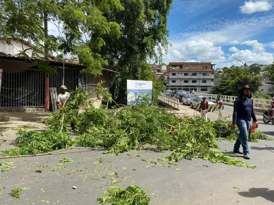 Árvore com risco de queda iminente é cortada no Centro de Medeiros Neto