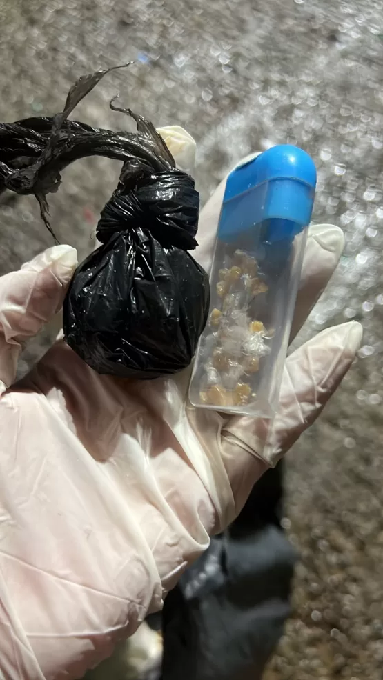 Policiais desarticulam esquema de troca de celulares por drogas