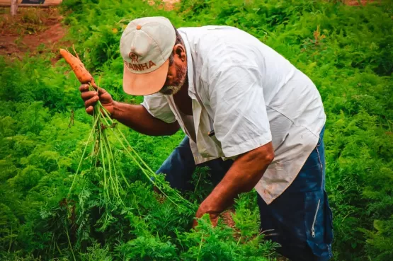 Cadastros para a Feira da Agricultura Familiar em Teixeira de Freitas retornam na próxima quarta (01)