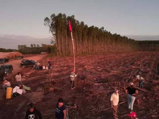 MST ocupa três áreas da empresa Suzano papel e Celulose no Extremo Sul baiano