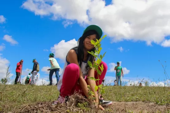 Secretaria de Meio Ambiente realiza o plantio de mudas nativas com alunos de escola em Teixeira de Freitas