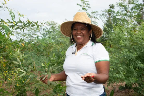 Projeto de desenvolvimento rural prioriza a participação    de mulheres em ações de inclusão produtiva 