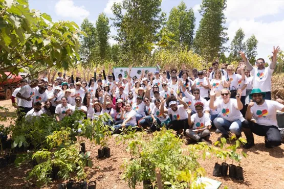 Ação que vai criar corredores ecológicos e conectar fragmentos florestais chega à Bahia