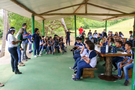 Abertura da Semana da Água contou com plantio de mudas nativas em nascente de Teixeira de Freitas; saiba mais