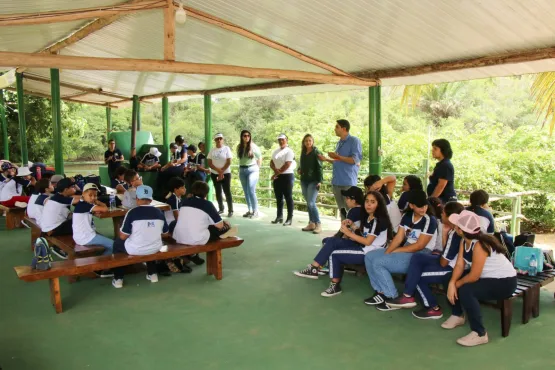 Abertura da Semana da Água contou com plantio de mudas nativas em nascente de Teixeira de Freitas; saiba mais