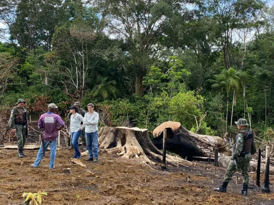 CIPPA e Departamento de Meio Ambiente realizam fiscalização ambiental no município de Itanhém