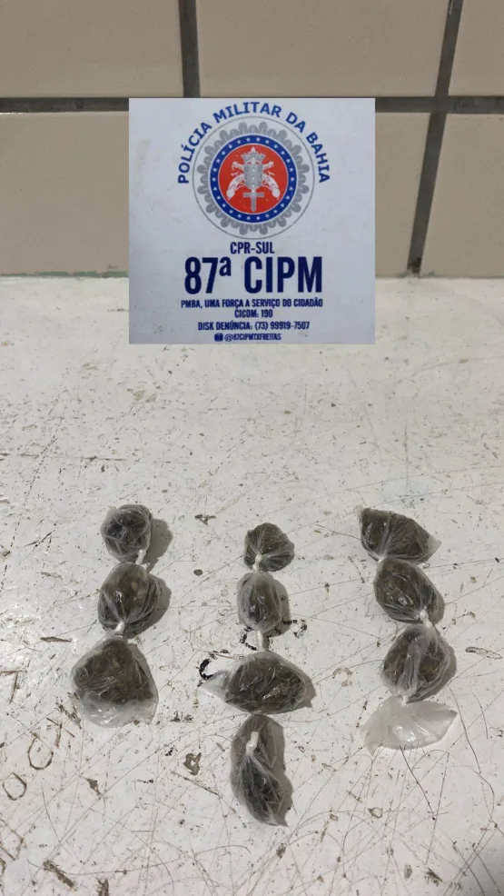 PM apreende maconha escondida em lajotas em Teixeira de Freitas
