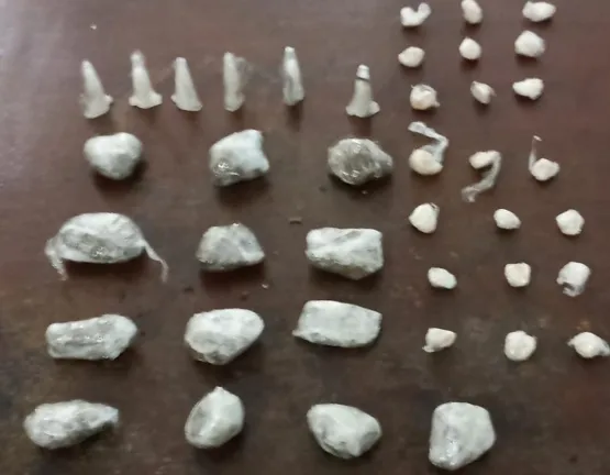 Cão do 8º BPM localiza ecstasy, maconha e cocaína, em Trancoso