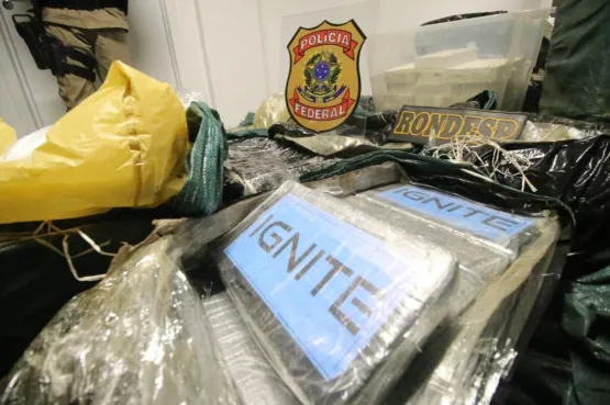 PF e Rondesp Atlântico apreendem uma tonelada de cocaína avaliada em 30 milhões de reais