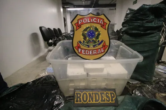 PF e Rondesp Atlântico apreendem uma tonelada de cocaína avaliada em 30 milhões de reais