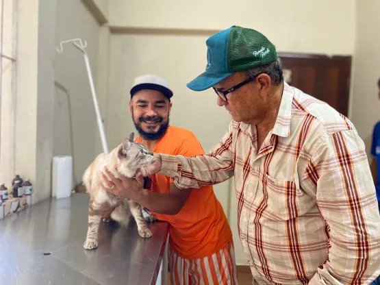 Prefeitura de Medeiros Neto dá continuidade a consultas veterinárias e castração para cães e gatos gratuitamente 